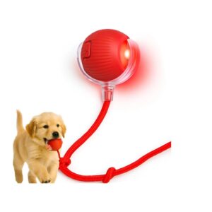 Bola Interativa Pet, Bolinha Pet, Brinquedo Interativo para Gatos, Brinquedos para Gatos, Brinquedo Gato, Bolinha Girató